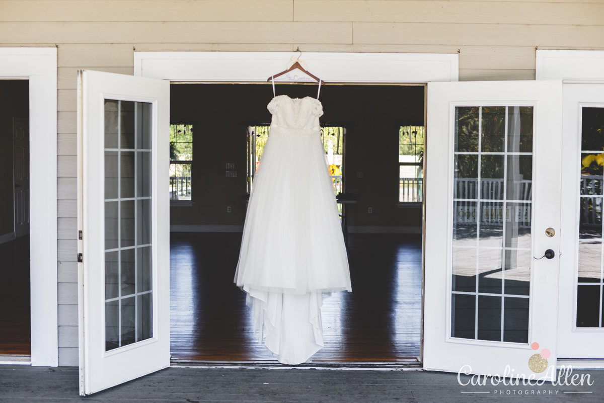 wedding dress, french doors, window