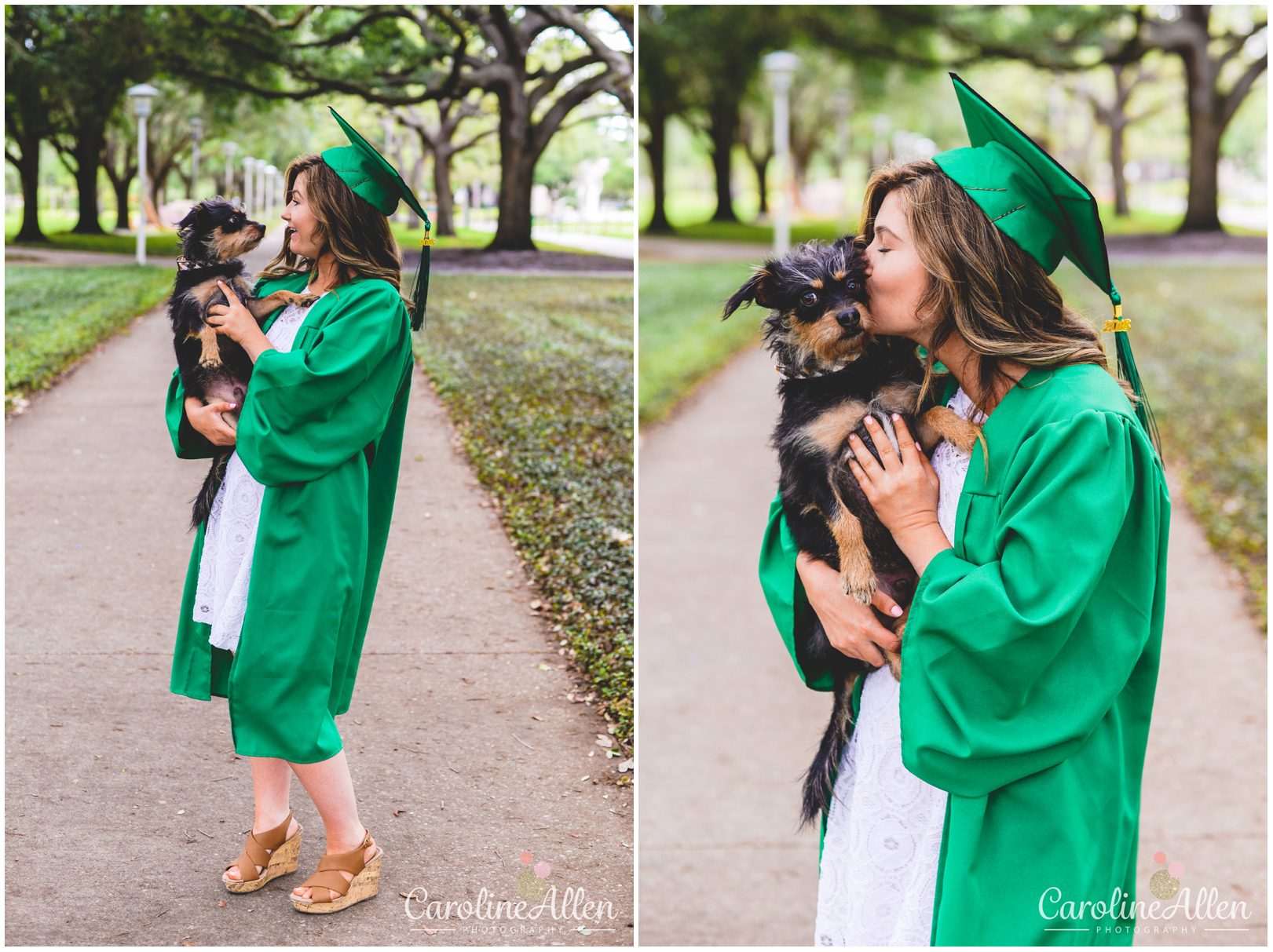 puppy, kisses, graduate, grass