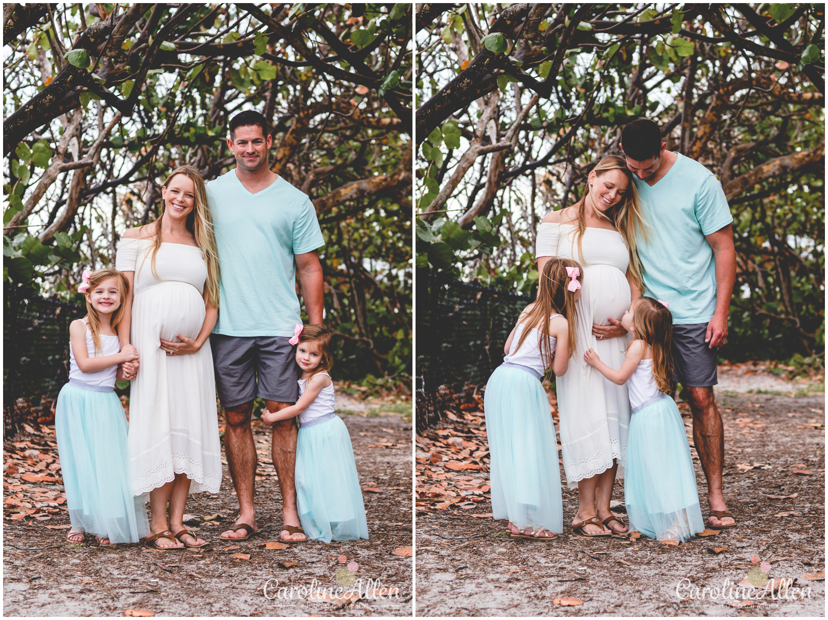 mangroves, trees, family