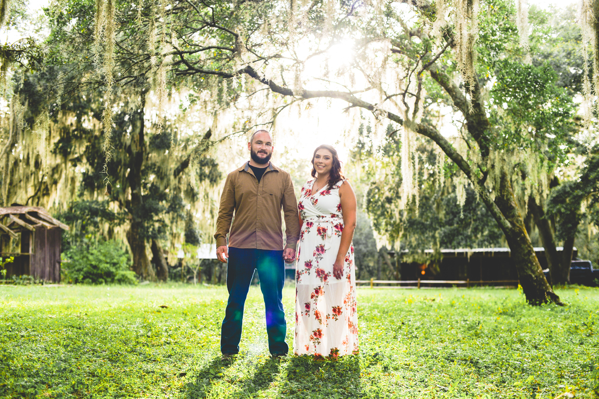 sunshine, trees, nature, couple, holding hands