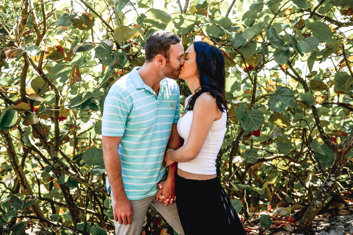 mangroves, leafs, couple, blue, kissing, green