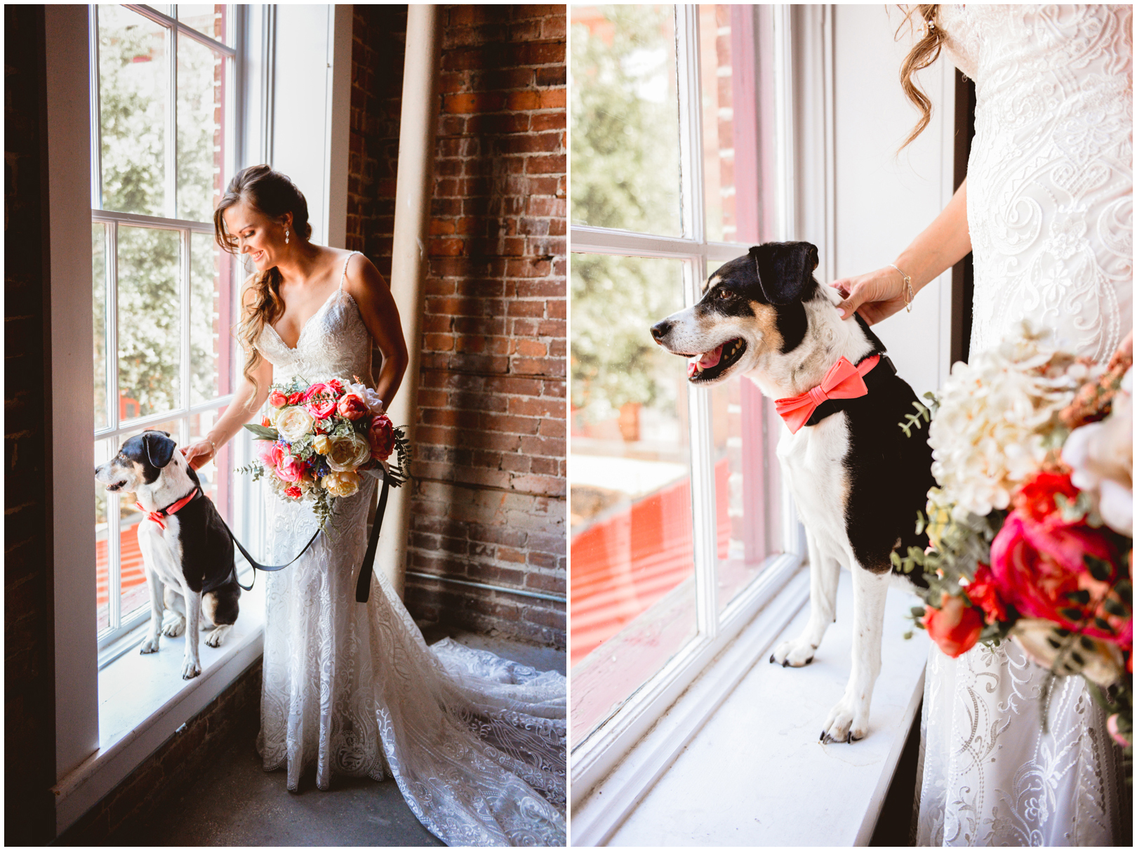 bride, dog, bowtie, window, brick, wedding