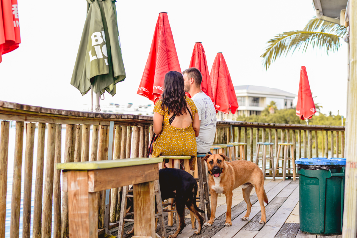 couple, dogs, beach, bar, tropical 