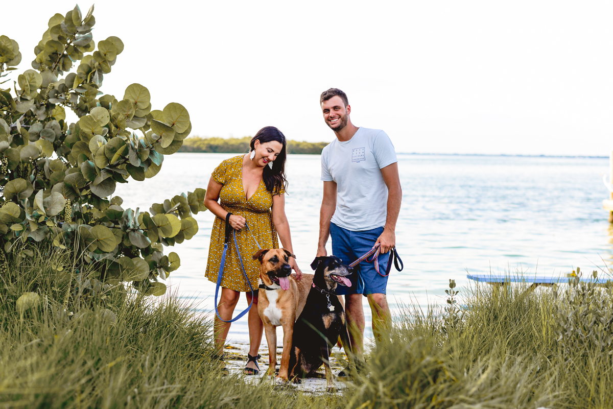 beach, dogs, couple, engaged, Tampa engagement photographer
