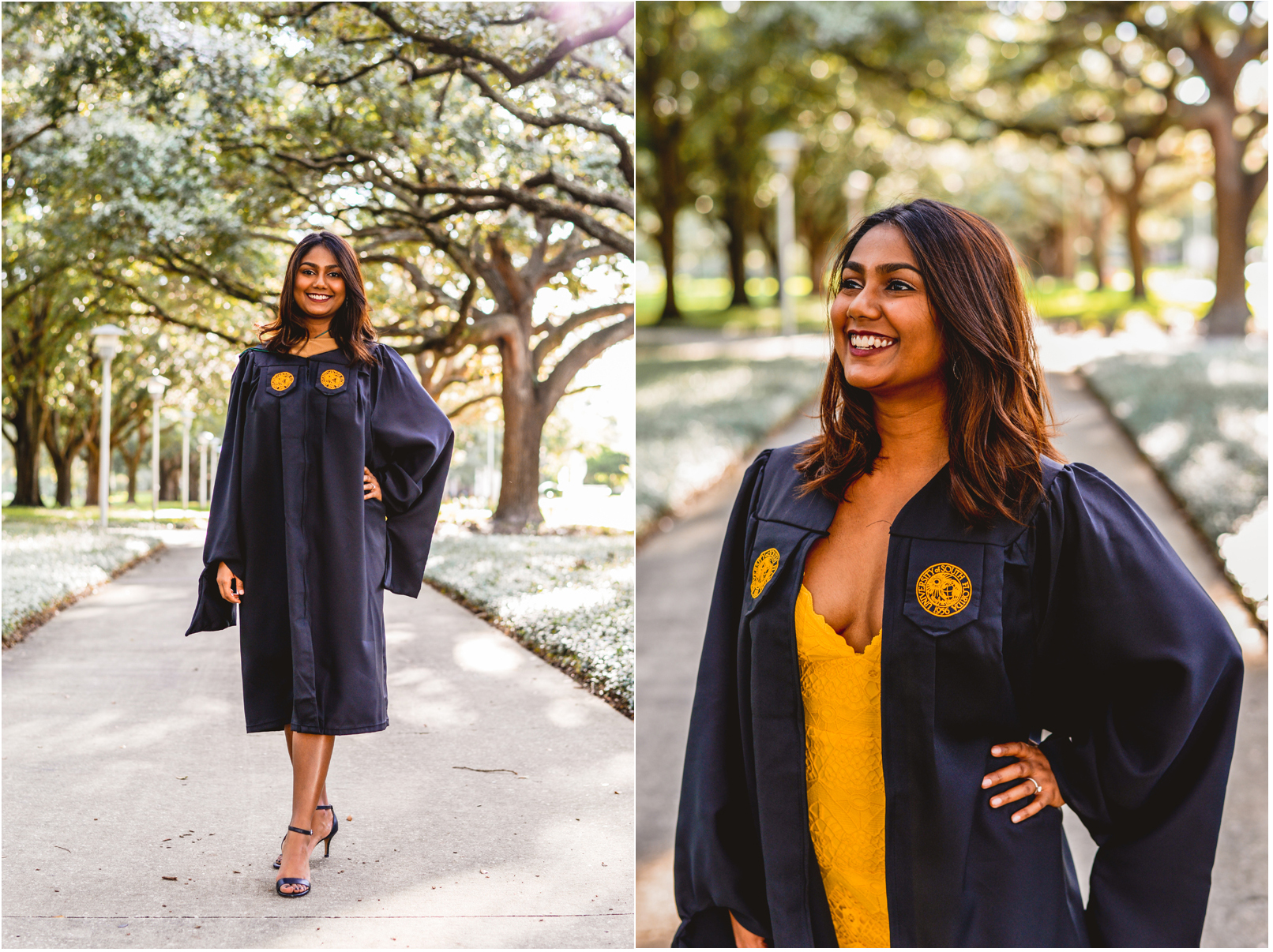 trees, walkway, sunshine, yellow, graduation