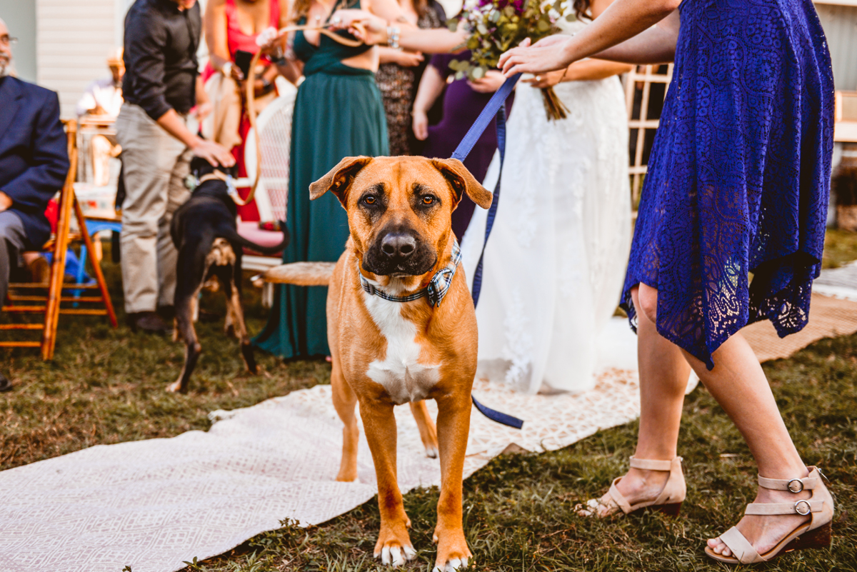 Backyard Sarasota Wedding