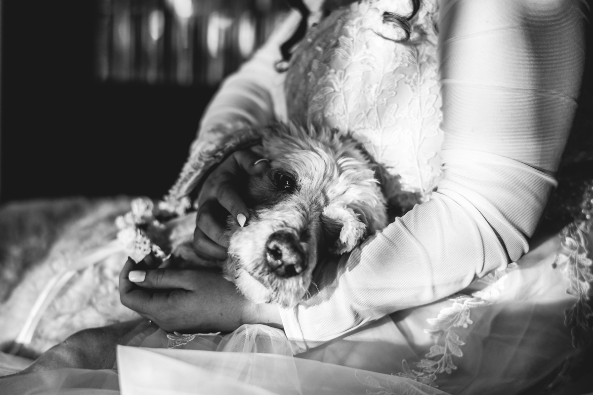 Clearwater Beach Elopement