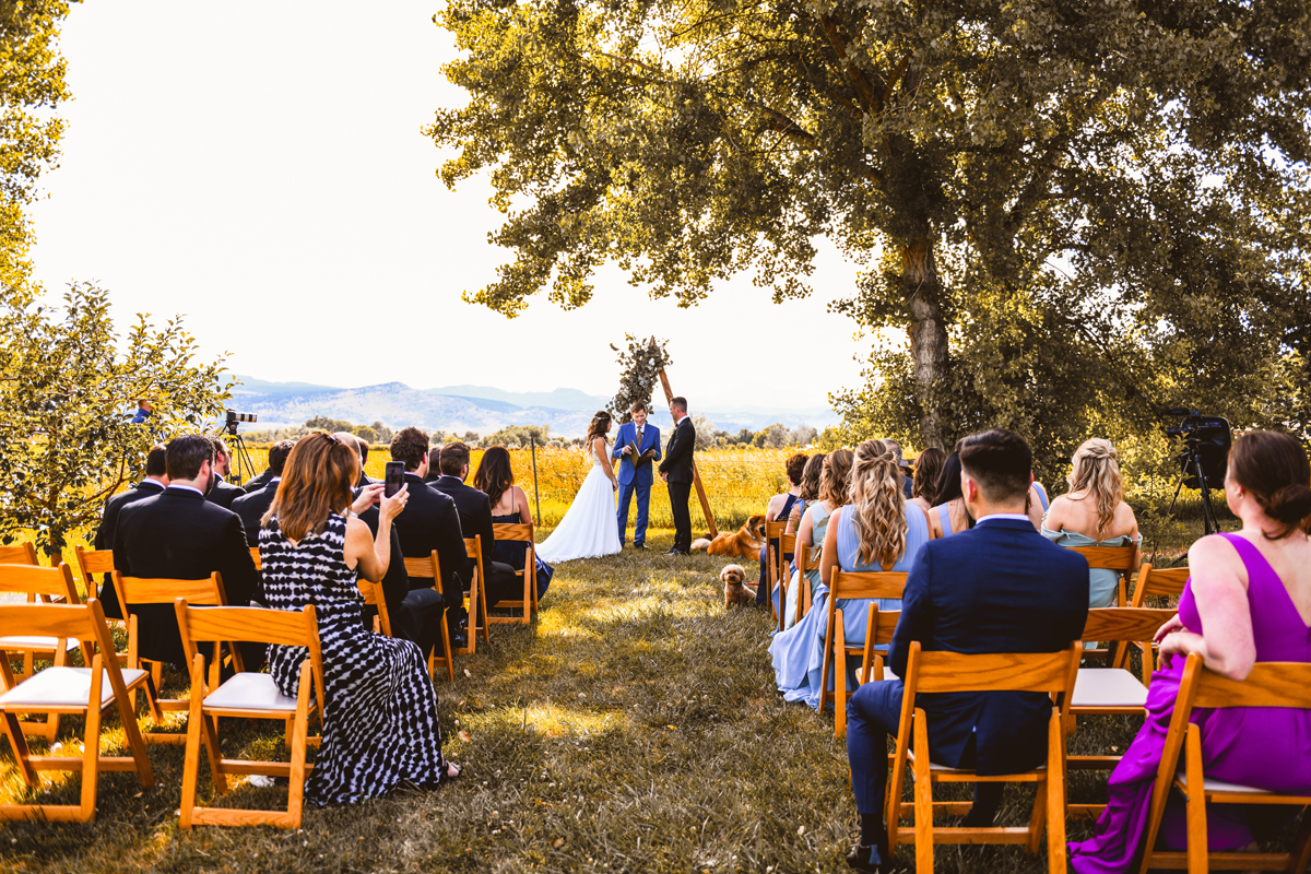 YA YA Farm & Orchard Wedding