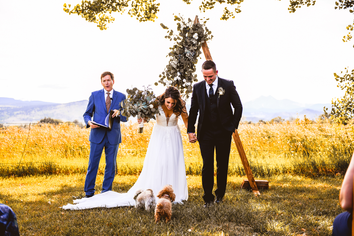 YA YA Farm & Orchard Wedding