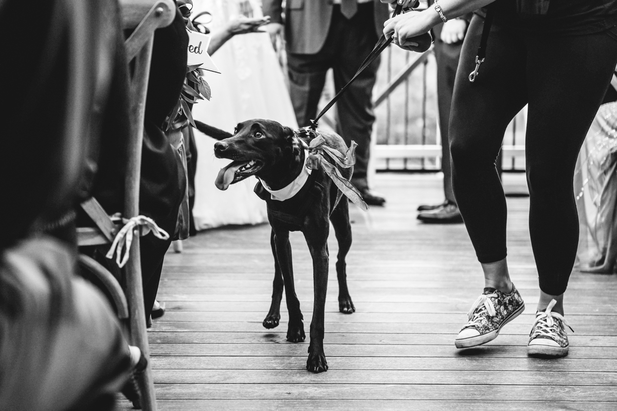 Red Mesa Wedding