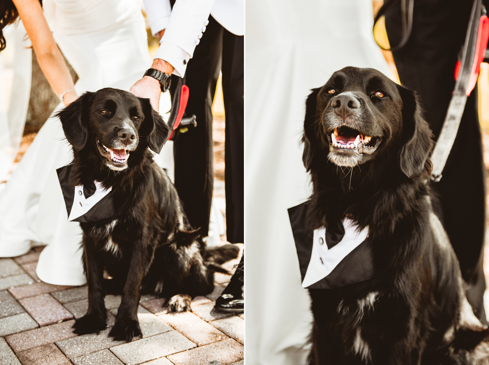 World of Golf Wedding