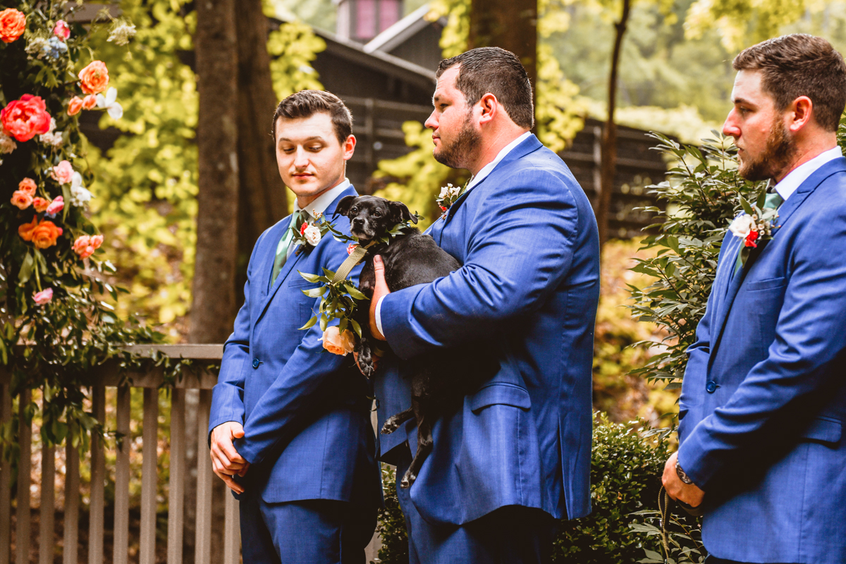 Hawkesdene Wedding