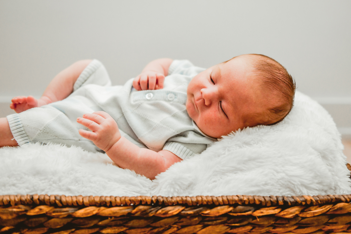 Newborn Photographer Tampa