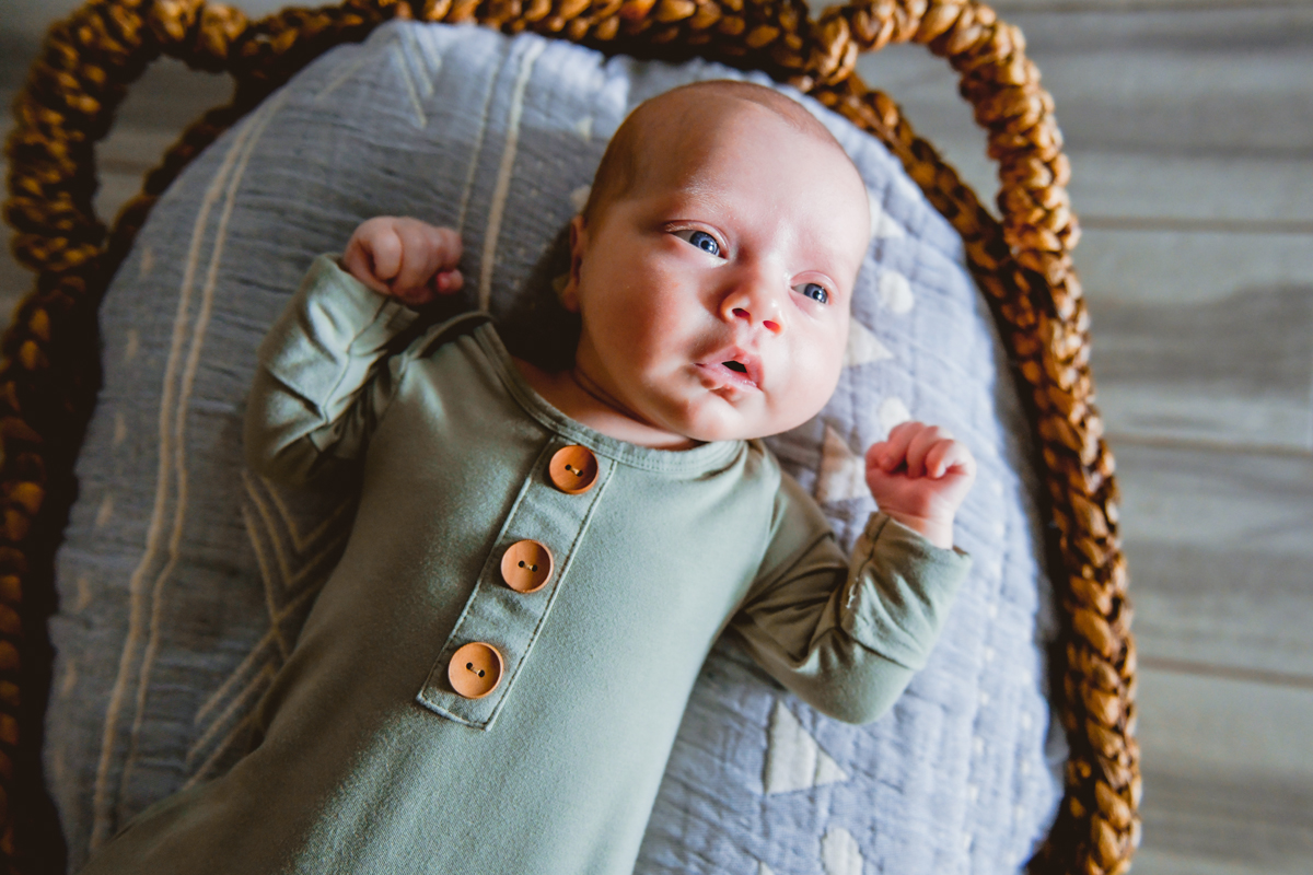 Newborn Session Seminole Heights