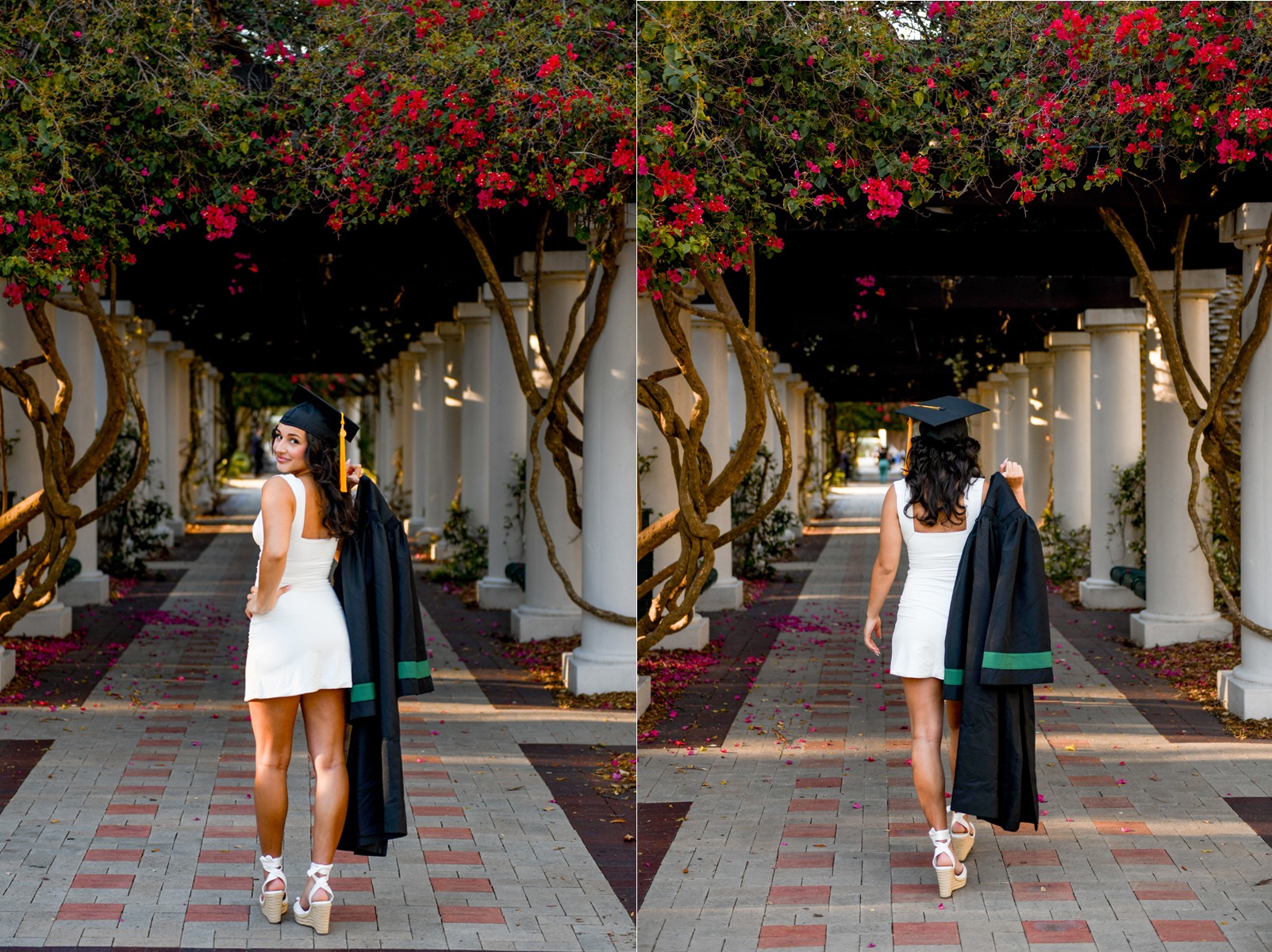 USF Graduation Photos