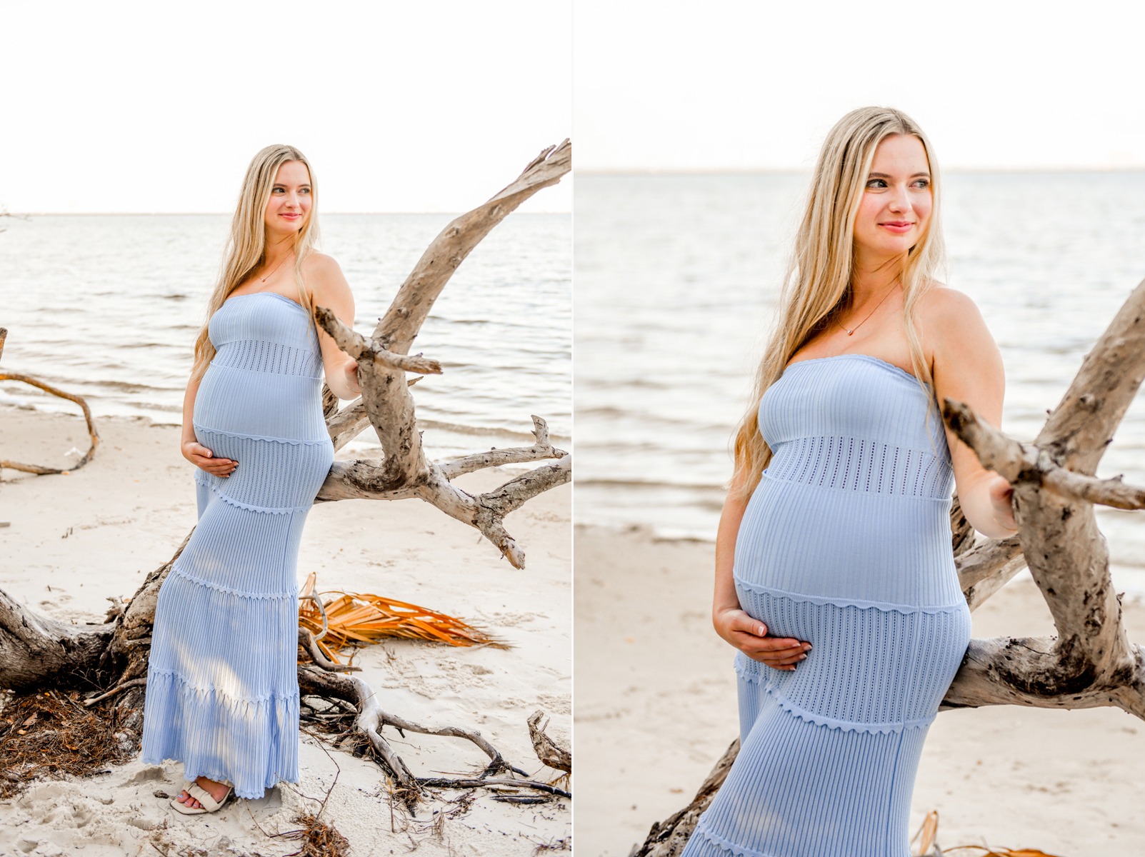 Maternity Photographer Tampa