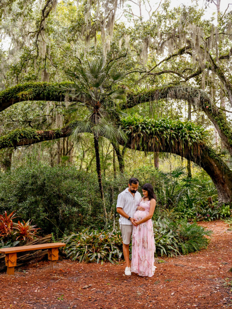 Eureka Springs Conservation Park // The Kumars
