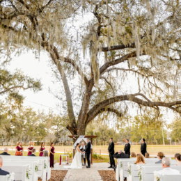 MacDill 48 Park Photos// The Hollins